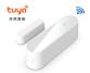 Датчик открытия двери Tuya WIFI (белый, без батареи, нейтральная упаковка, 71?19?21 мм / 40?11?11 мм)