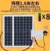 Двойная солнечная панель 10Вт (с аккумулятором, 8 литиевых 8.4В 10400мАч, помпа погружная, водяная трубка 3 м, 2 панели из закаленного стекла)