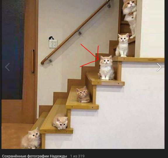 Плата для светодиодной матрицы  8x8 на MAX7219 без индикатора